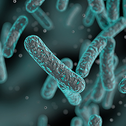 Biofiltration Featured Image